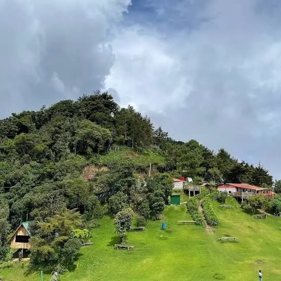 El Pital